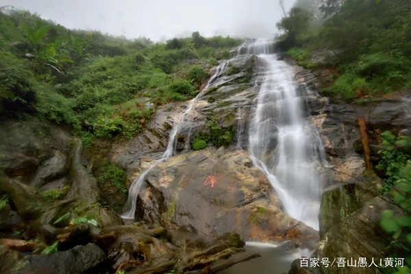 走! 去海南 | 雨林求生之海南百花岭