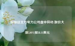 阿根廷北方电力公司盘中异动 股价大涨5.01%报38.11美元