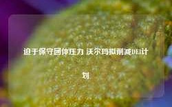 迫于保守团体压力 沃尔玛拟削减DEI计划