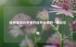 桂林旅游区中草药桂林中草药一条街在哪